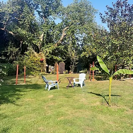 Les Camelias Fontaine-lès-Vervins
